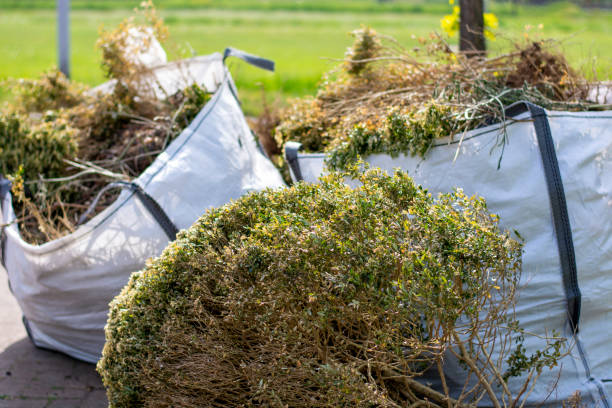 Best Same-Day Junk Removal  in North Conway, NH